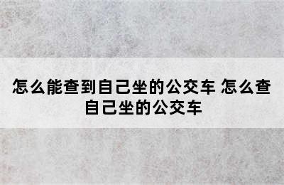 怎么能查到自己坐的公交车 怎么查自己坐的公交车